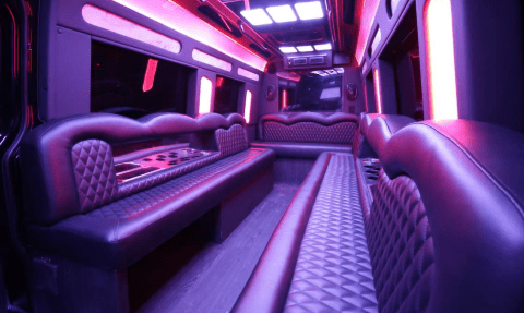 Fort Lauderdale 14 Passenger Sprinter Bus Interior
