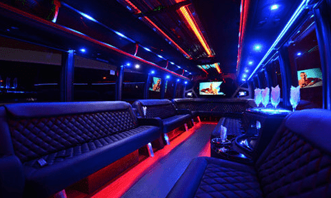 Fort Lauderdale 30 Passenger Party Bus Black Interior